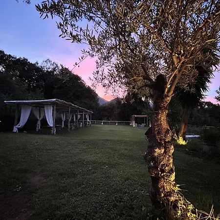 Agriturismo Colle Maiano-3